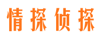 民丰市私家侦探